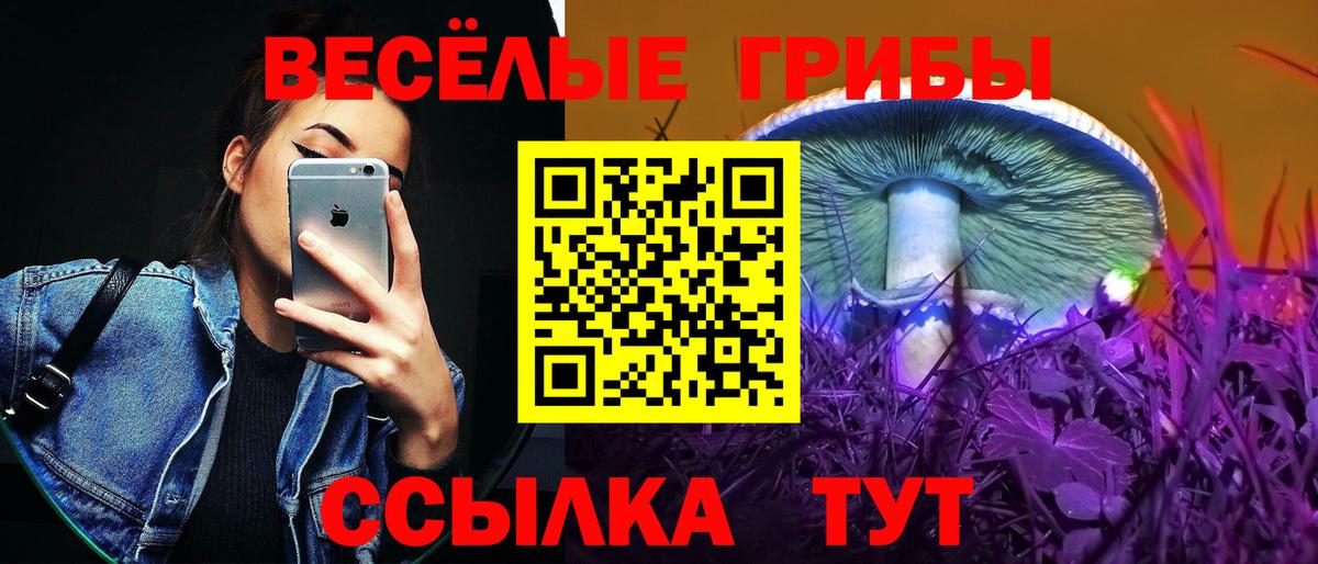 Галлюциногенные грибы прущие грибы  Галлюциногенные грибы прущие грибы  Вход с VPN  Семёнов 