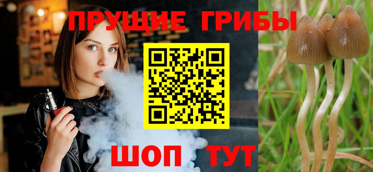 Галлюциногенные грибы MAGIC MUSHROOMS Семёнов